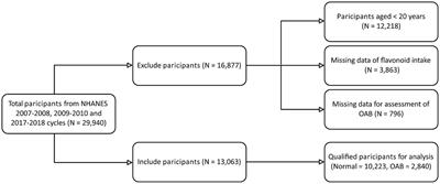 Intake of dietary flavonoids in relation to overactive bladder among U.S. adults: a nutritional strategy for improving urinary health
